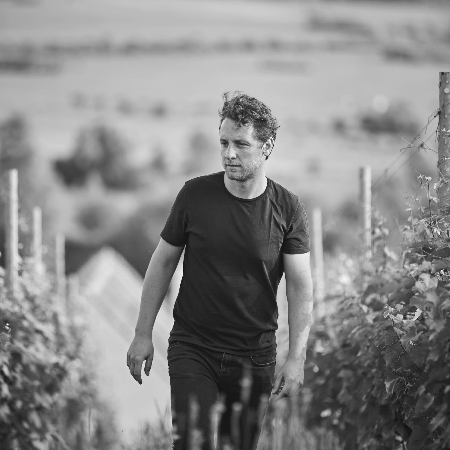 Bencze Birtok Ungarn