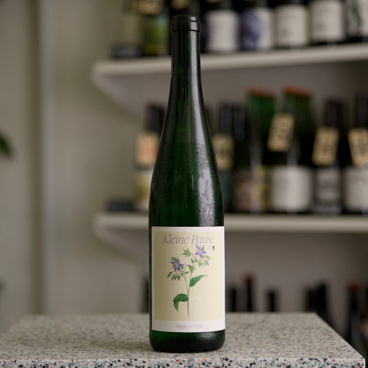 Singley and Lyslo - Kleine Pause 2025