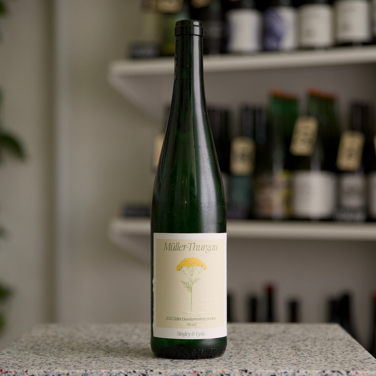 Singley and Lyslo - Müller Thurgau 2025
