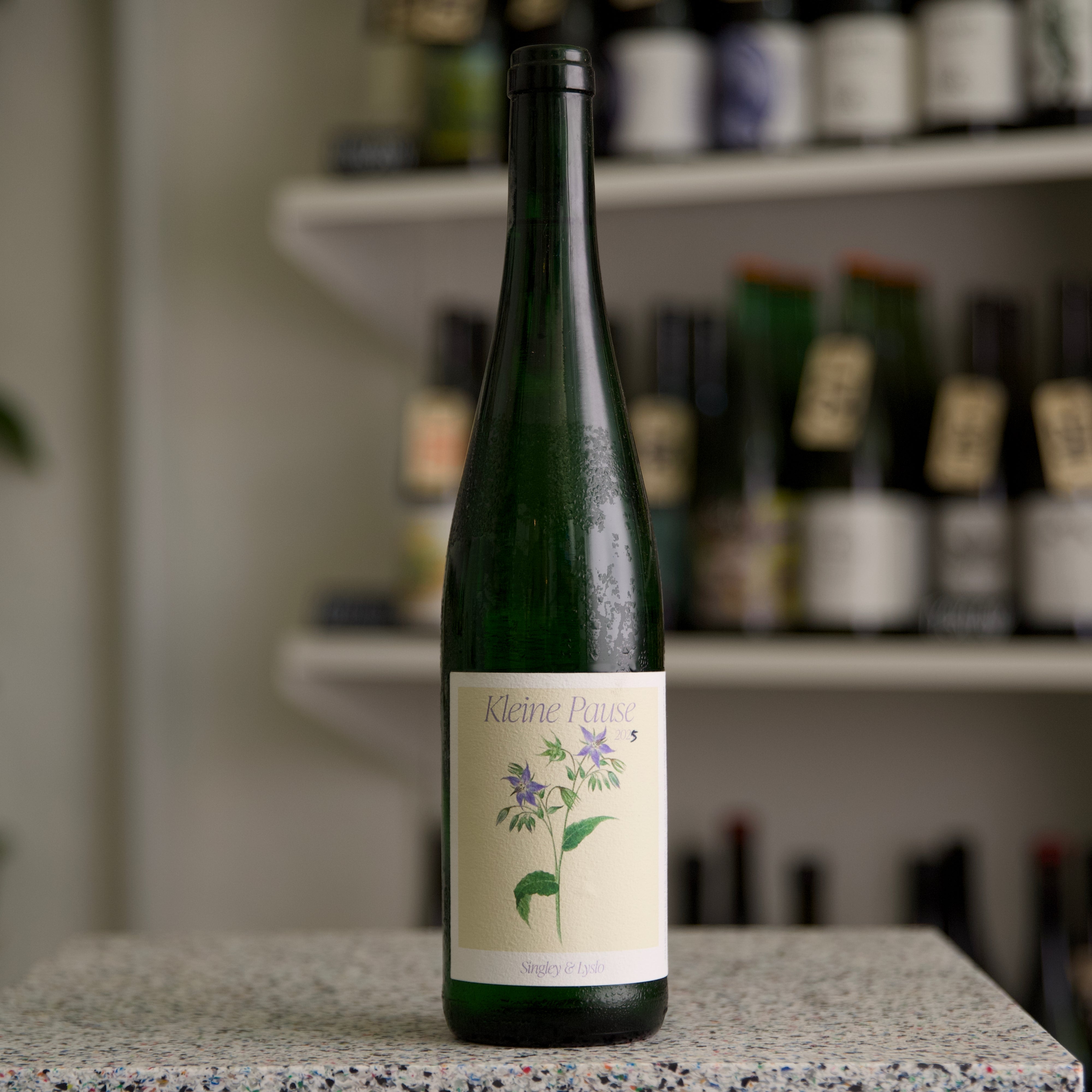Singley and Lyslo - Kleine Pause 2025